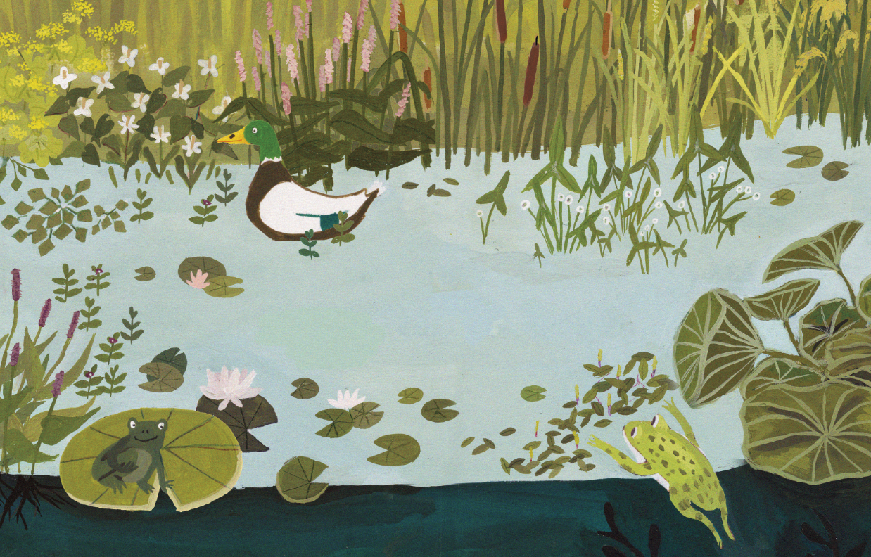 eetbare%20waterplanten