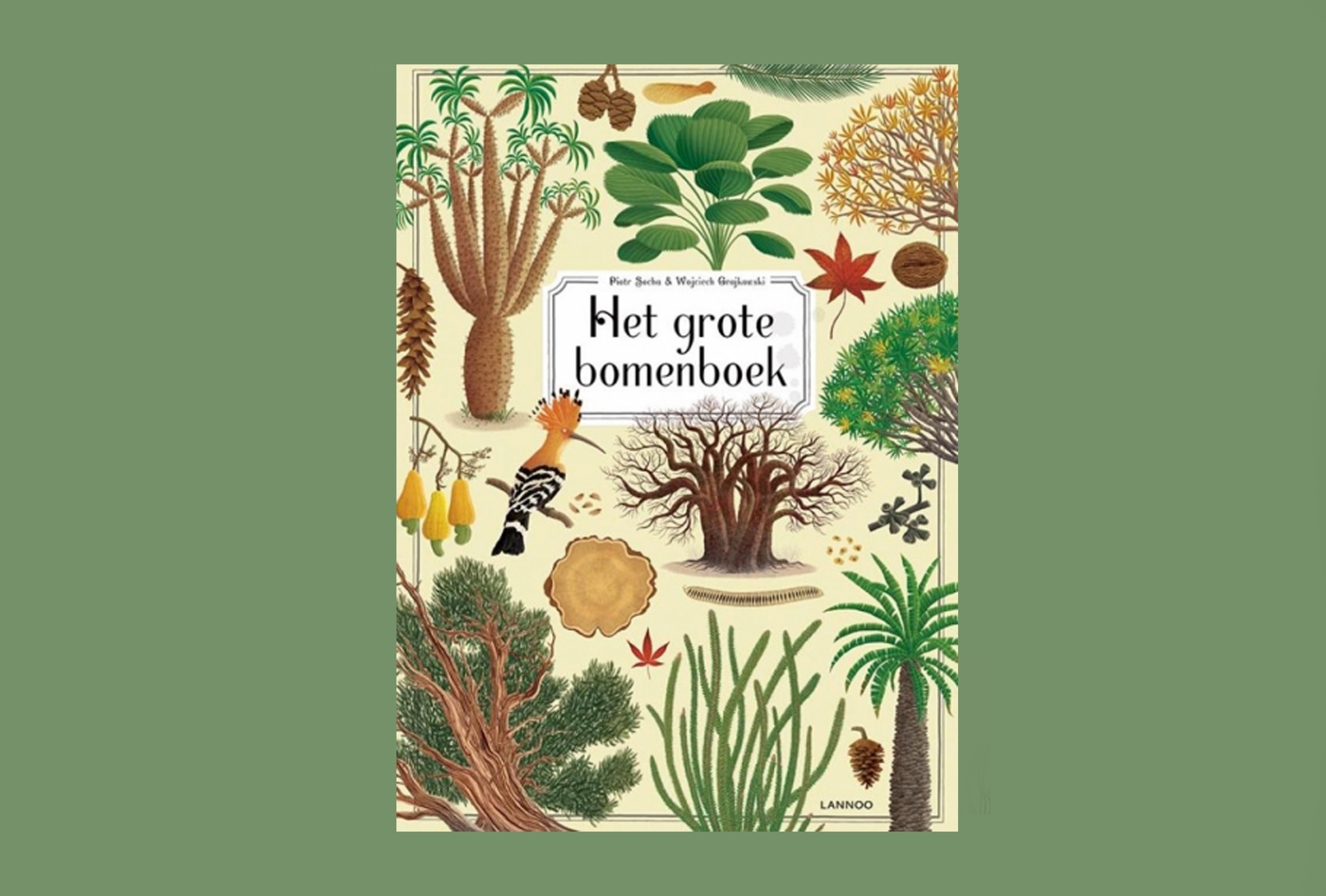 het grote bomenboek