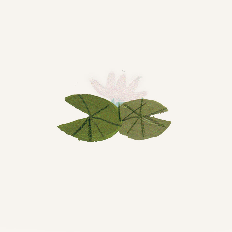 heilige lotus