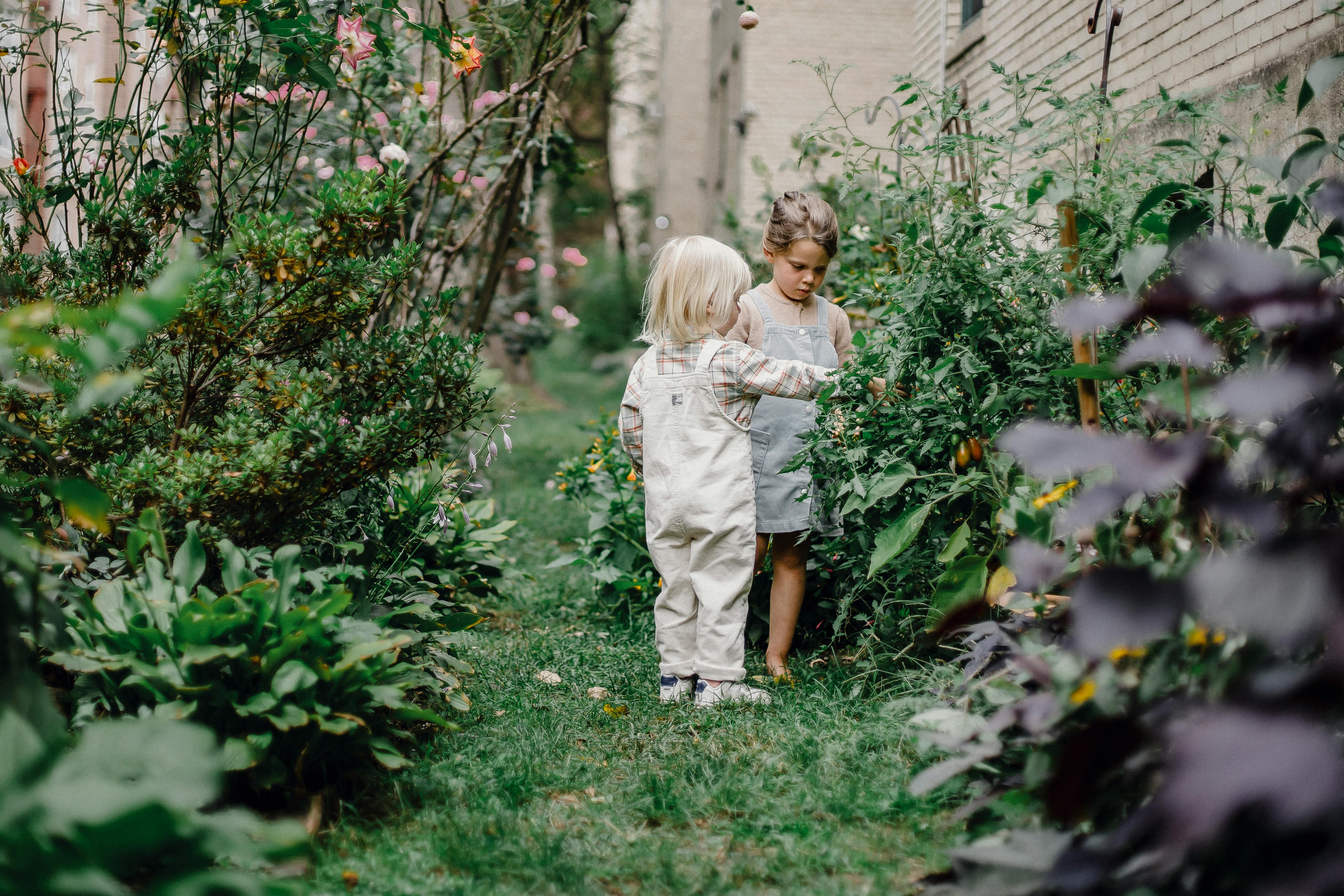 kinderwens en klimaatverandering